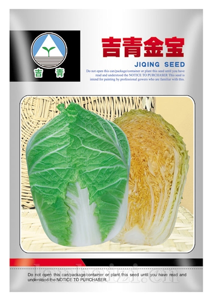 供应吉青金宝—白菜种子