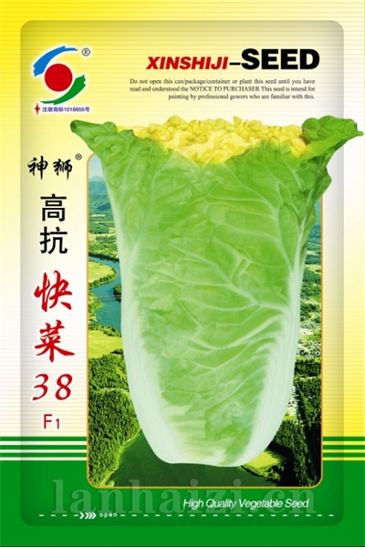 供应高抗快菜38F1—白菜种子