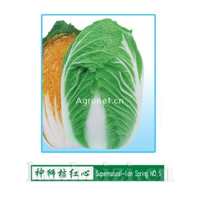 供应神狮桔红心—白菜种子