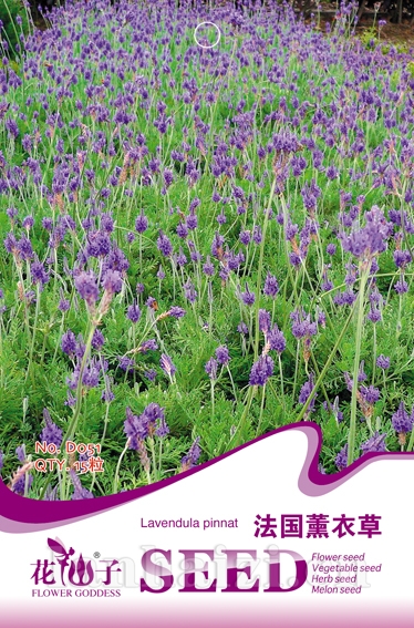 大量元素水溶肥