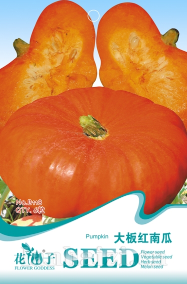 大板红南瓜