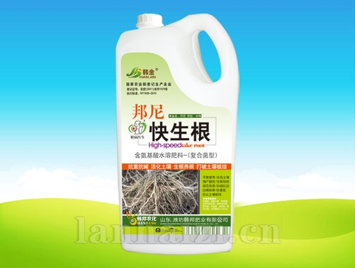 邦尼快生根