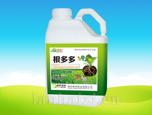 根多多