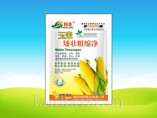 玉米矮壮粗缩净