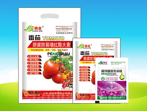 番茄脐腐防裂增红膨