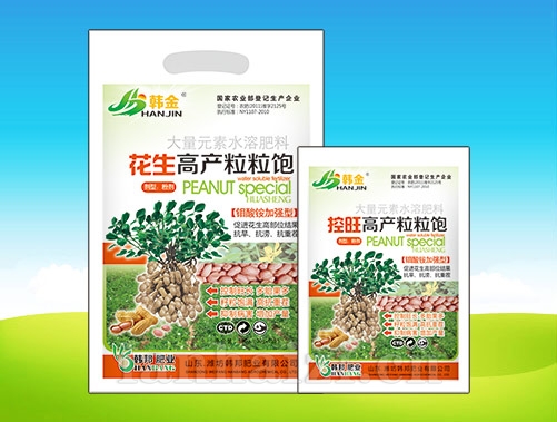 花生高产粒粒饱