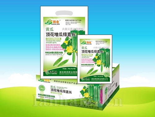 黄瓜顶花增瓜绿直长