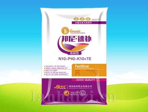 邦尼 ● 速补