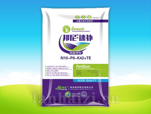 邦尼 ● 速补