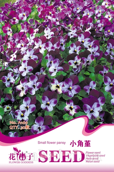 小角堇