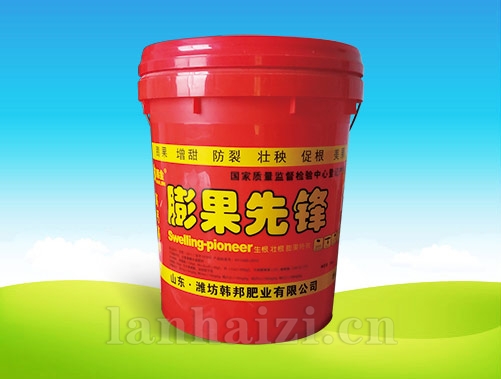 膨 果 先 锋