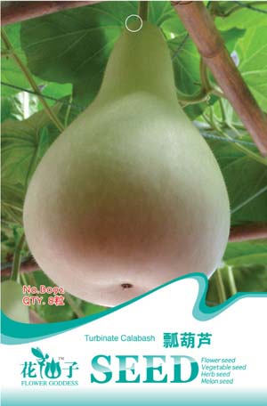 	 瓢葫芦