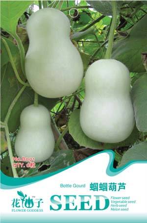 蝈蝈葫芦