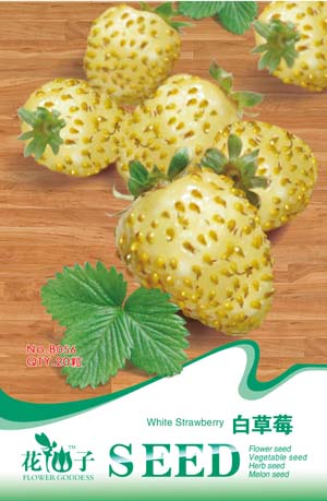 白草莓