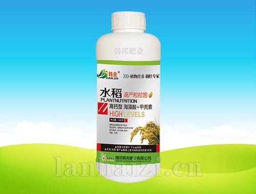 水稻高产粒粒饱