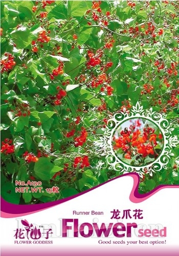 千屈菜