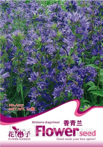 龙爪花