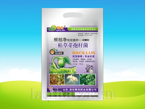 枯草芽孢杆菌