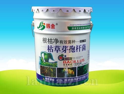 枯草芽孢杆菌