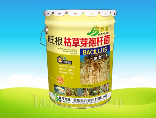 旺根枯草芽孢杆菌