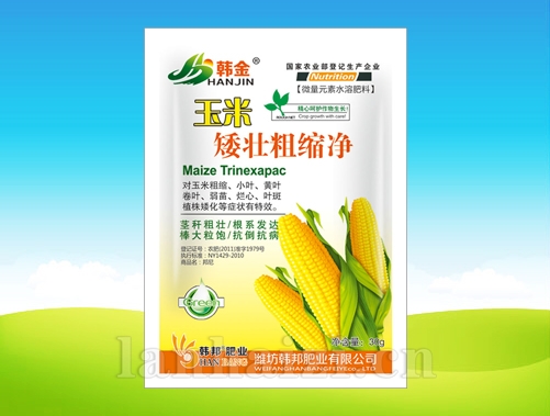 玉米矮壮粗缩净