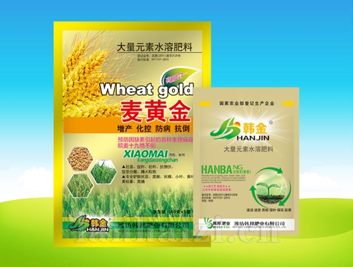 麦黄金