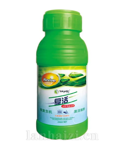 【复活】