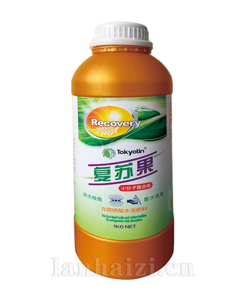 【复苏果】