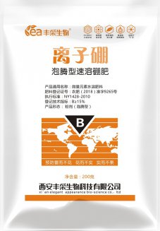 离子硼