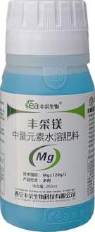 丰采镁