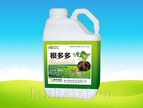 根多多