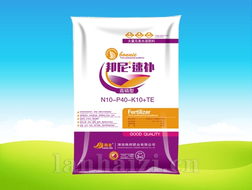 邦尼·速补