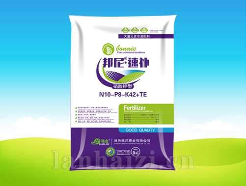 邦尼·速补