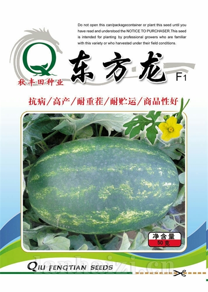 东方龙