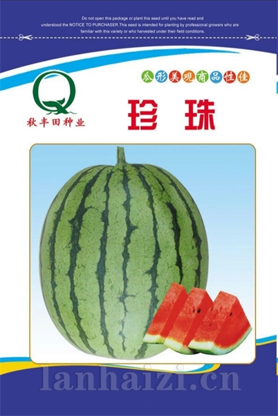 珍珠