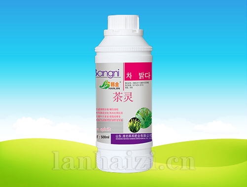 茶灵