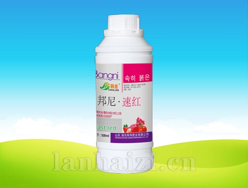 邦尼·速红