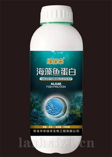 海藻鱼蛋白