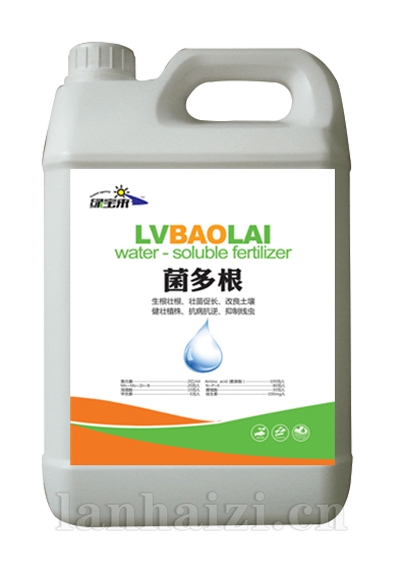 菌多根