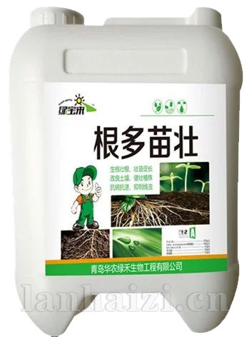 5kg根多苗壮