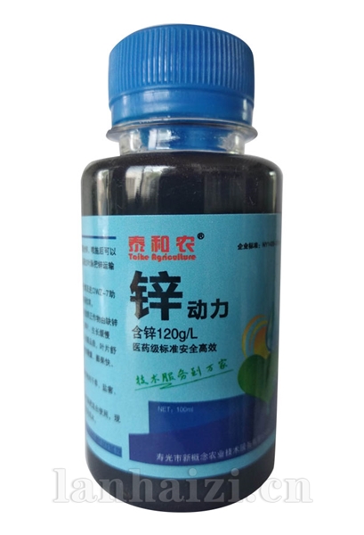  锌动力