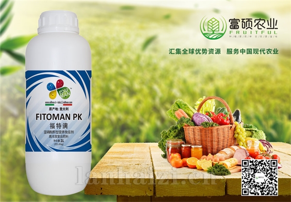 福特满