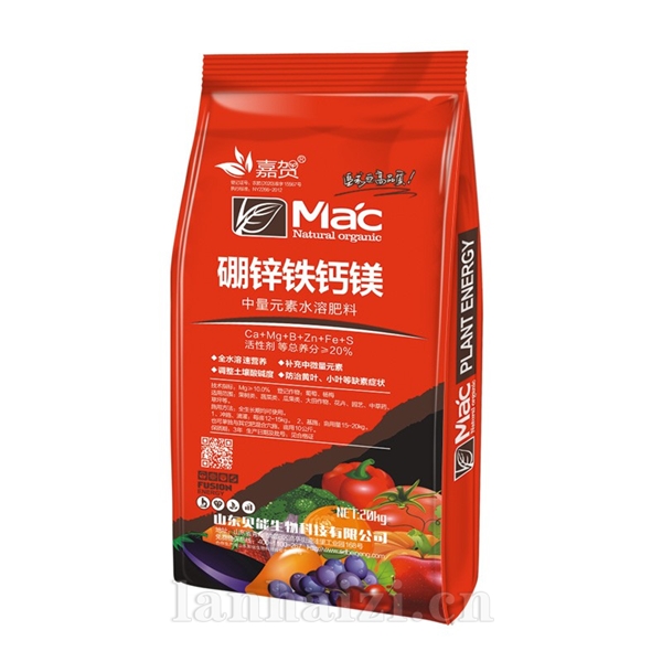 硼锌铁钙镁