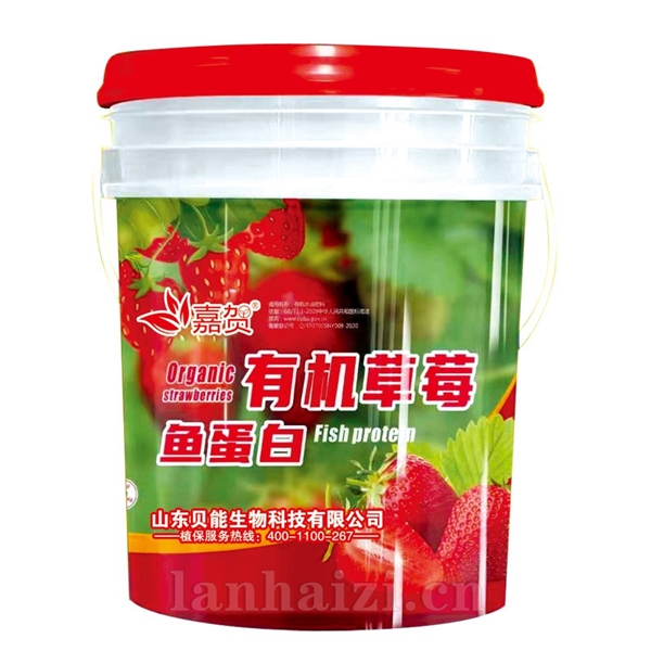 有机草莓鱼蛋白