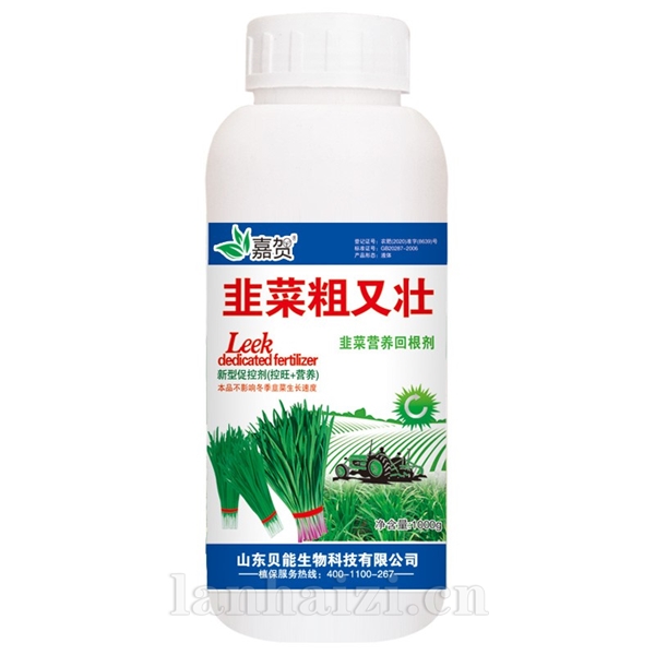 韭菜粗又壮