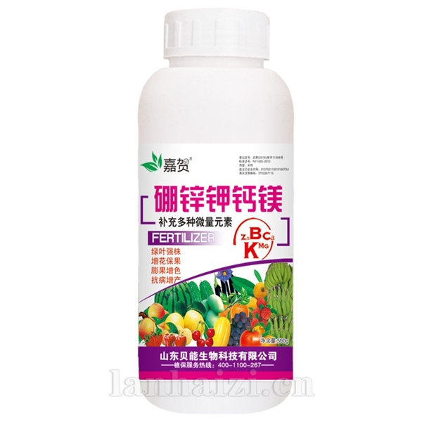 硼锌钾钙镁铁