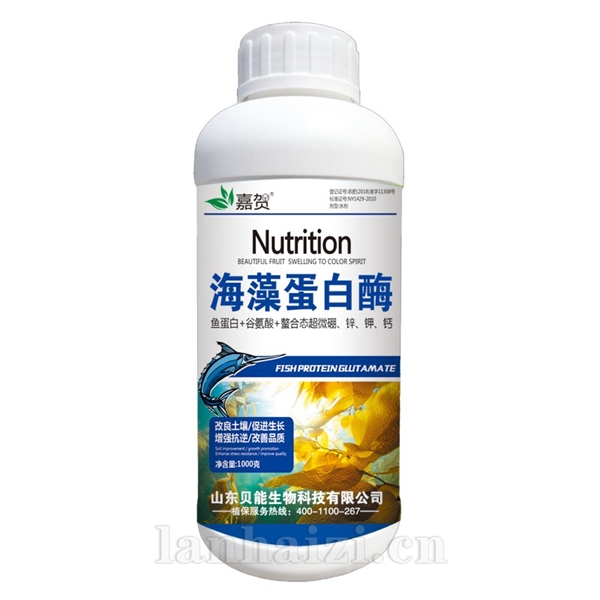 海藻蛋白酶