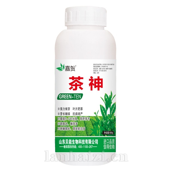 茶神