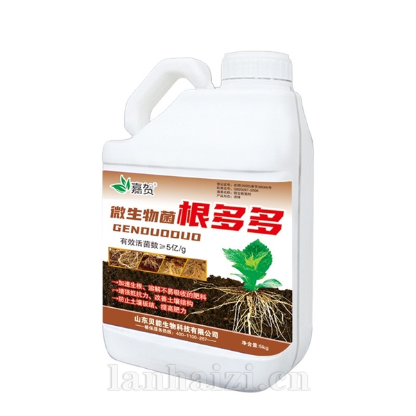 微生物菌根多多