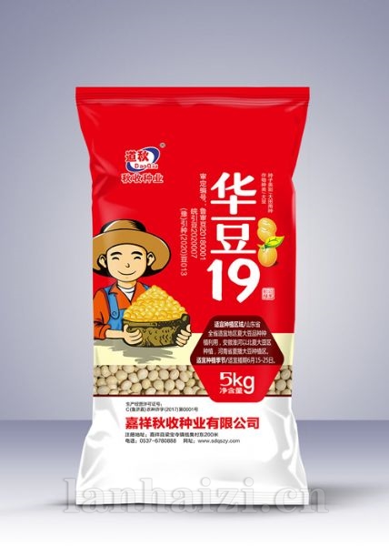 华豆19